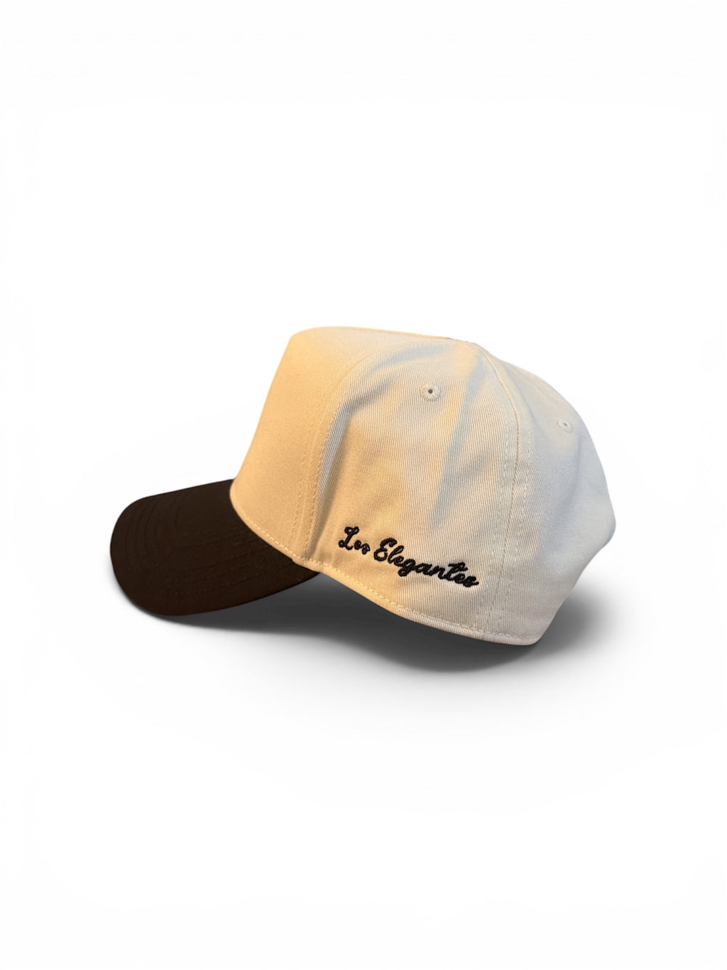 Classic Logo Two Color Hat