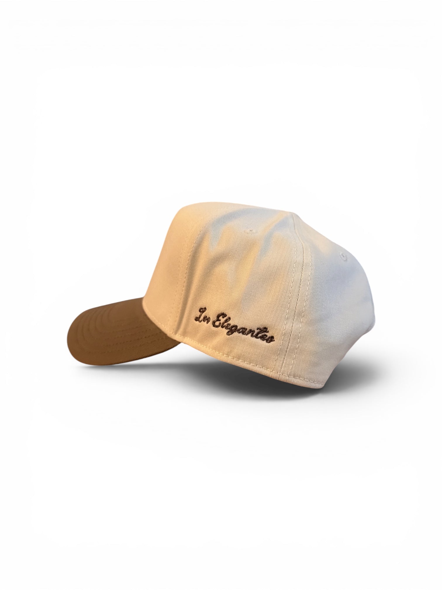 Classic Logo Two Color Hat